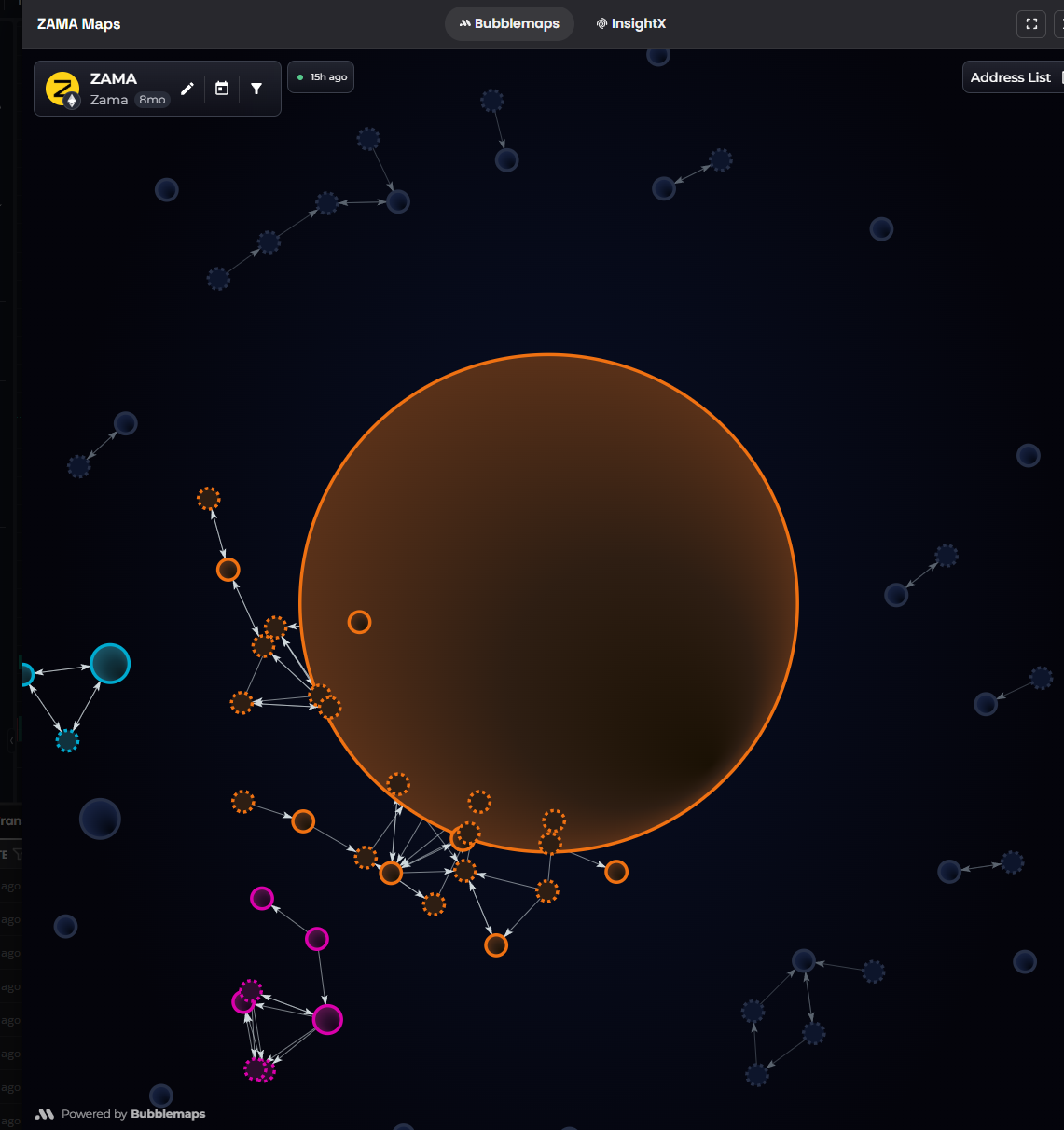 Bubblemaps holder map dominated by one enormous wallet bubble