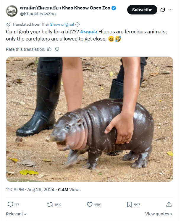 Khao Kheow Open Zoo's viral Moo Deng post