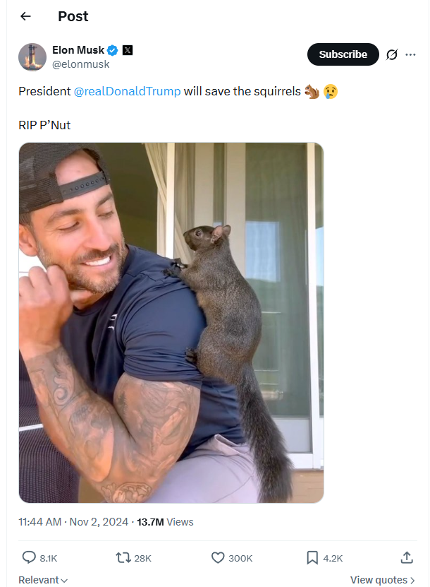 Elon Musk post mourning P'Nut the squirrel